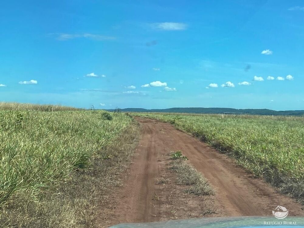 Fazenda à venda com 2 quartos, 20000000m² - Foto 17