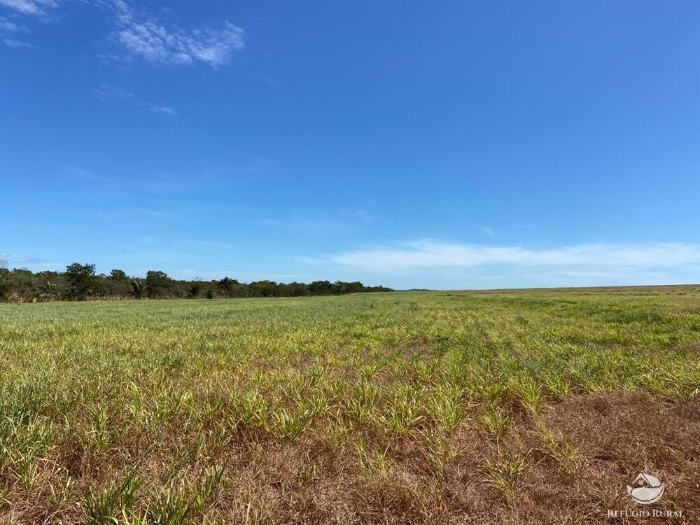 Fazenda à venda com 2 quartos, 20000000m² - Foto 3