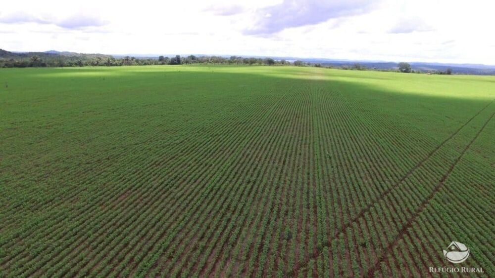 Fazenda à venda com 2 quartos, 20000000m² - Foto 1