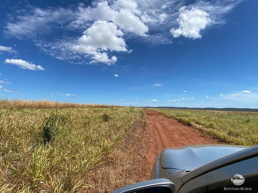 Fazenda à venda com 2 quartos, 20000000m² - Foto 15