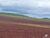 Fazenda-Sítio-Chácara, 2000 hectares - Foto 6