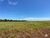 Fazenda-Sítio-Chácara, 2000 hectares - Foto 3