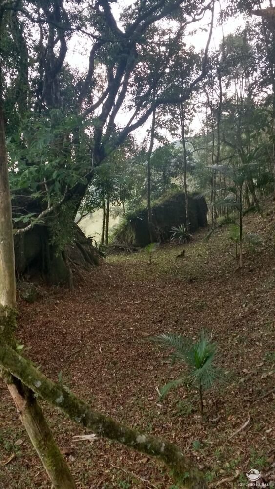 Sítio à venda com 2 quartos, 57800m² - Foto 8