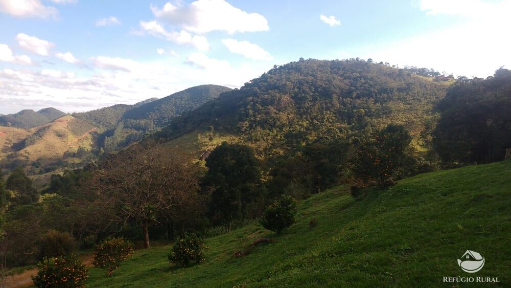 Sítio à venda com 2 quartos, 57800m² - Foto 6