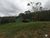 Sítio, 2 quartos, 6 hectares - Foto 25