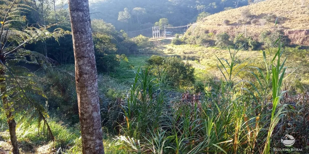 Sítio, 10 hectares - Foto 6