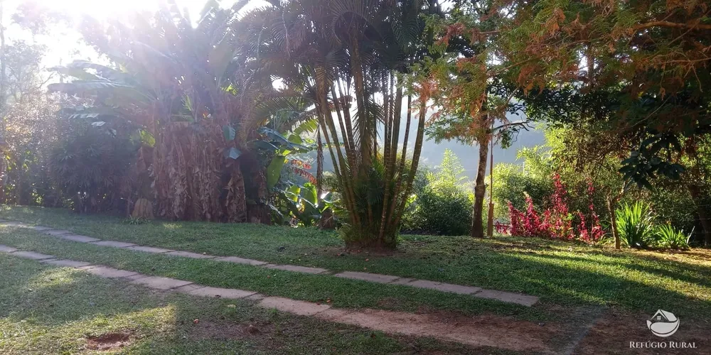 Sítio, 10 hectares - Foto 4