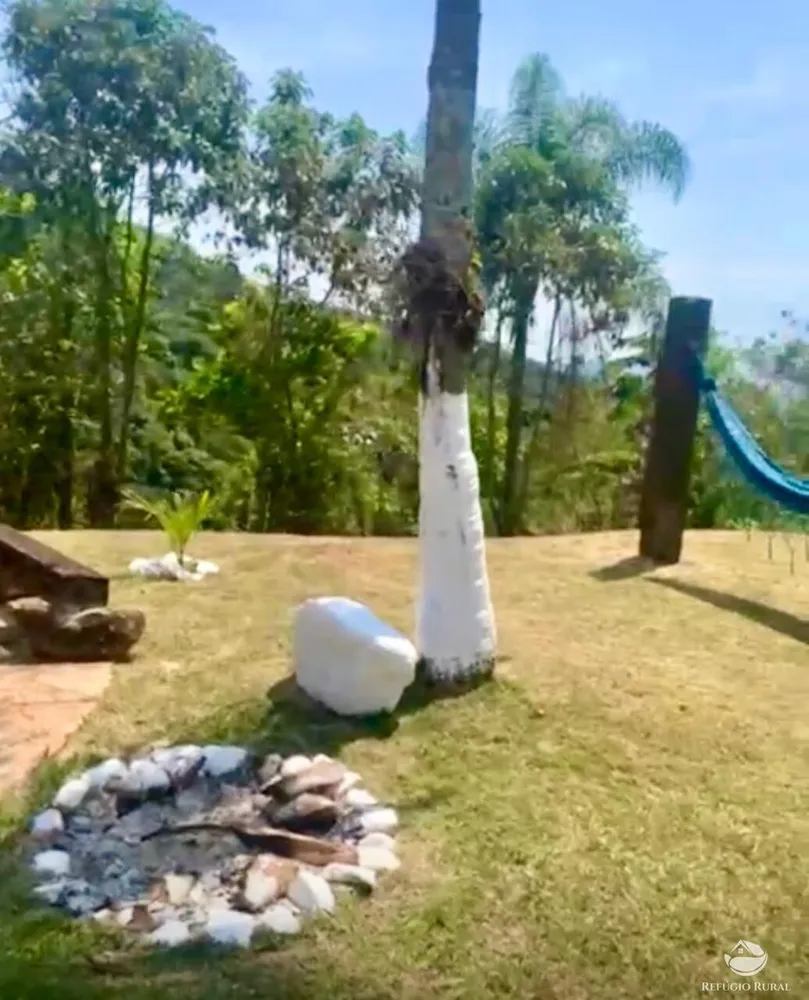 Fazenda, 242 hectares - Foto 15