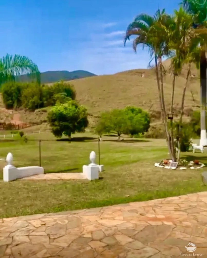Fazenda, 242 hectares - Foto 6