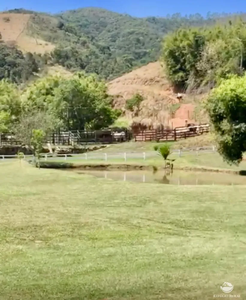 Fazenda, 242 hectares - Foto 8