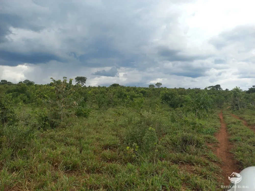 Fazenda, 279 hectares - Foto 12