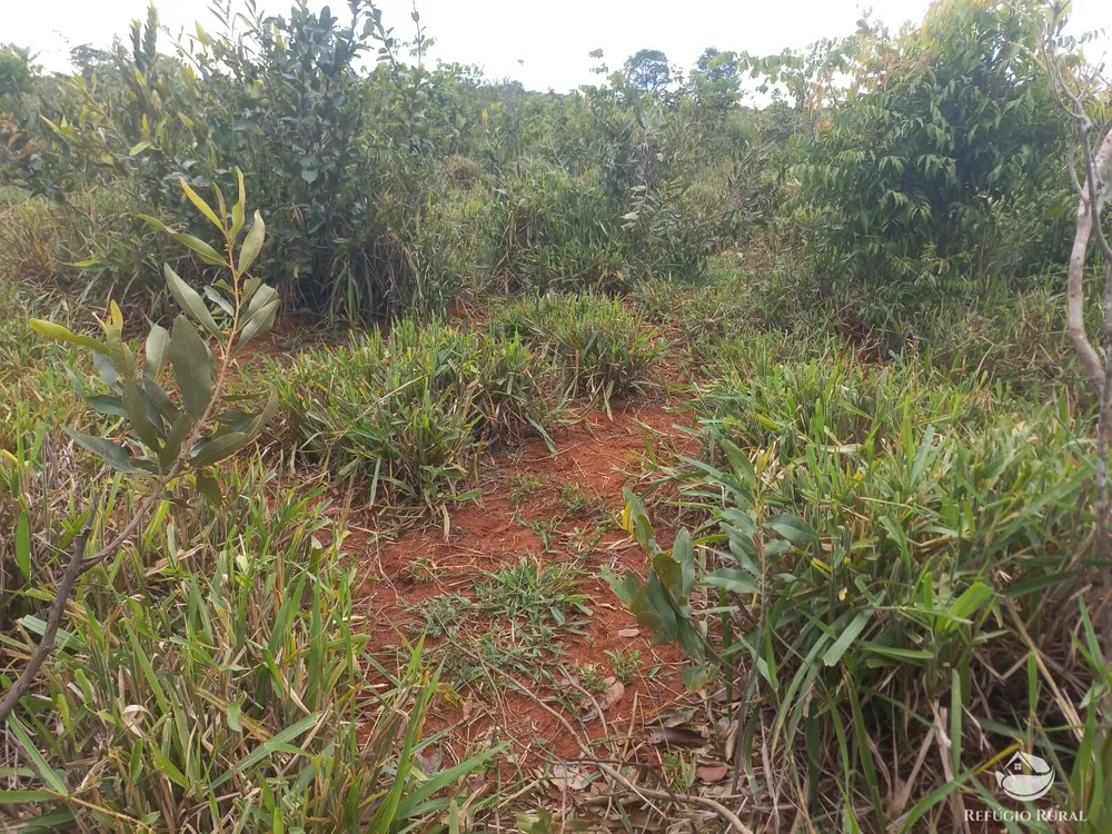Fazenda, 279 hectares - Foto 8