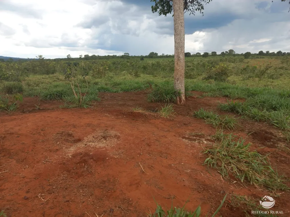 Fazenda, 279 hectares - Foto 2