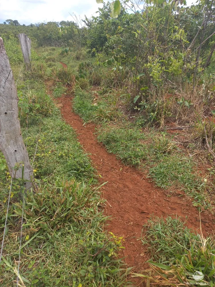 Fazenda, 279 hectares - Foto 1