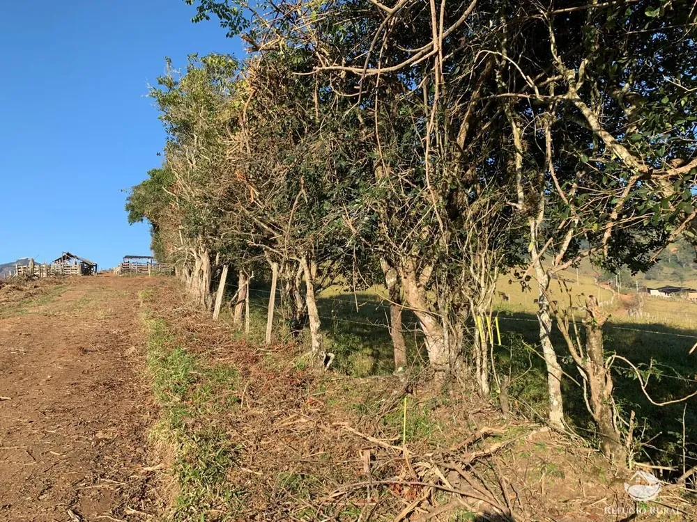 Chácara, 1400 m² - Foto 13