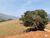 Chácara, 1 quarto, 1400 m² - Foto 2