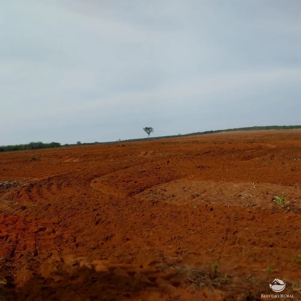 Fazenda, 5200 hectares - Foto 12