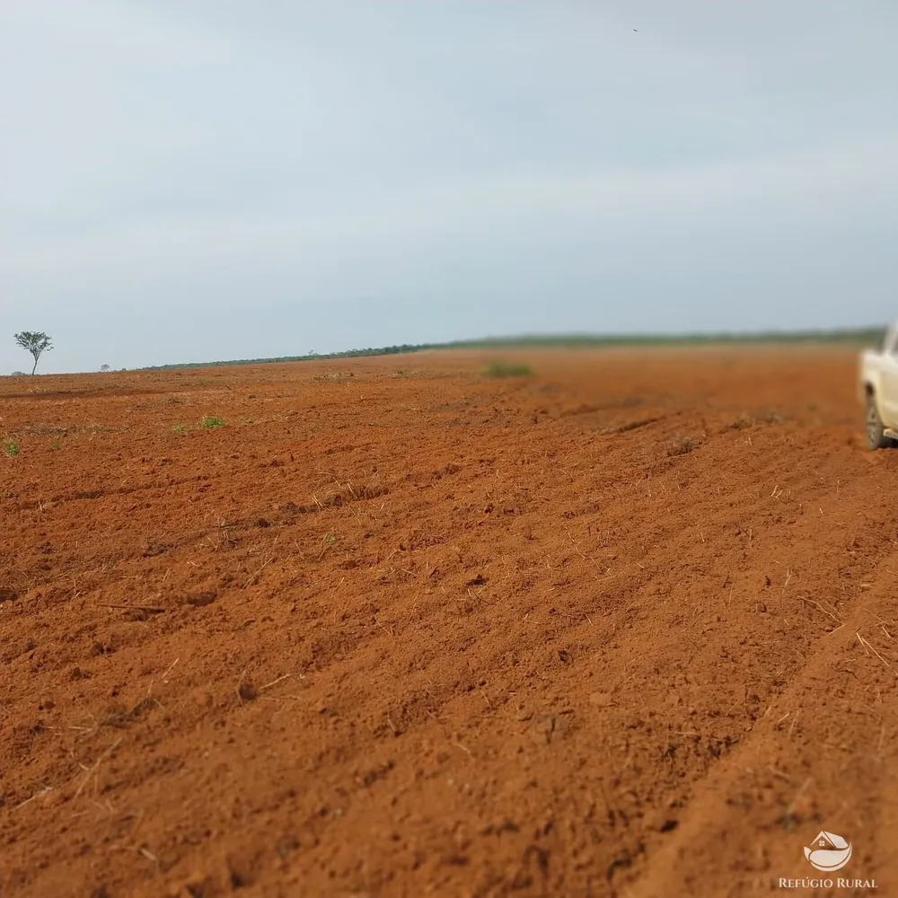 Fazenda, 5200 hectares - Foto 15