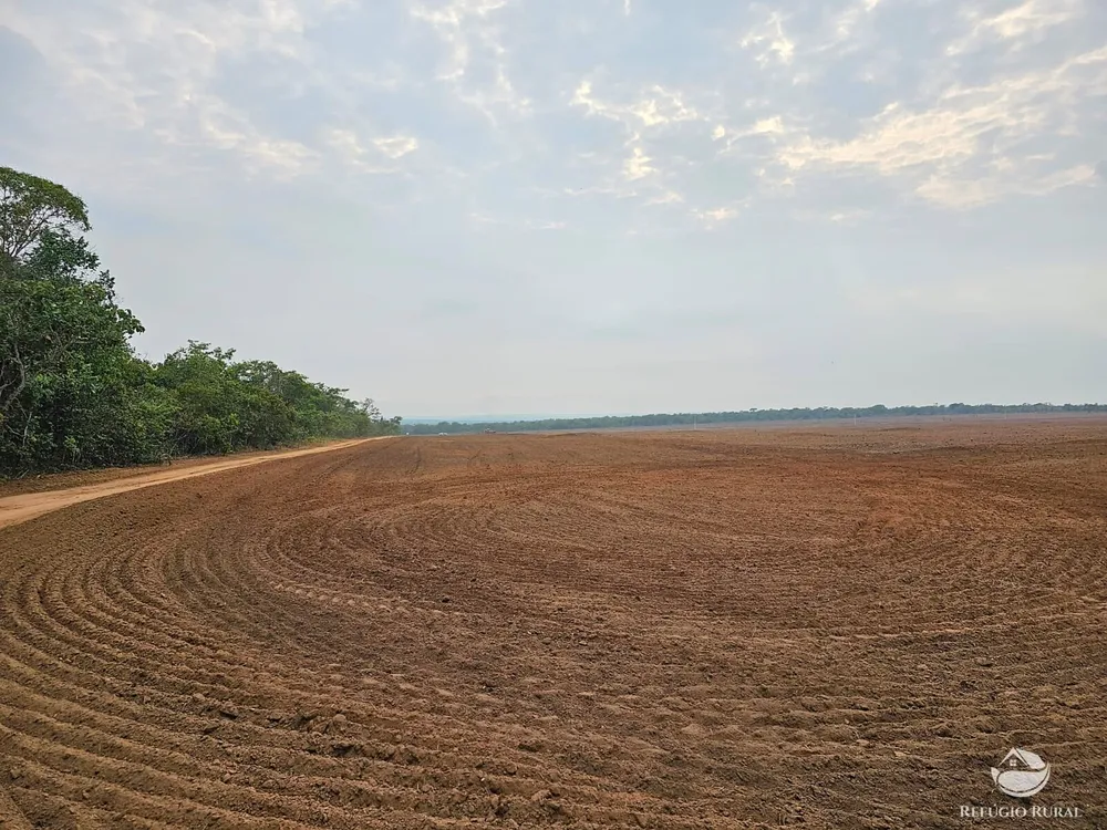 Fazenda, 5200 hectares - Foto 4