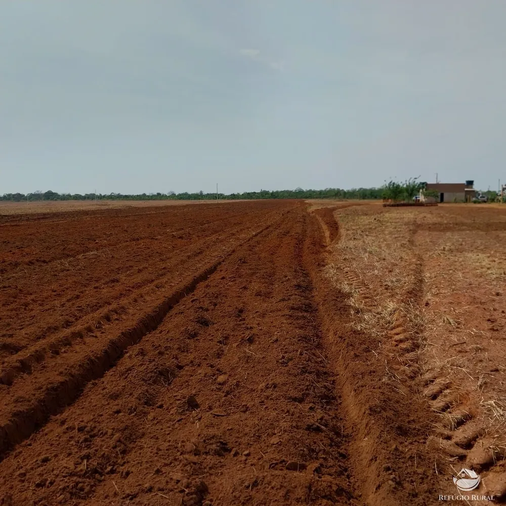 Fazenda, 5200 hectares - Foto 13