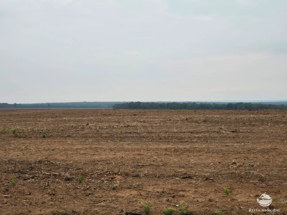 Fazenda, 5200 hectares - Foto 6