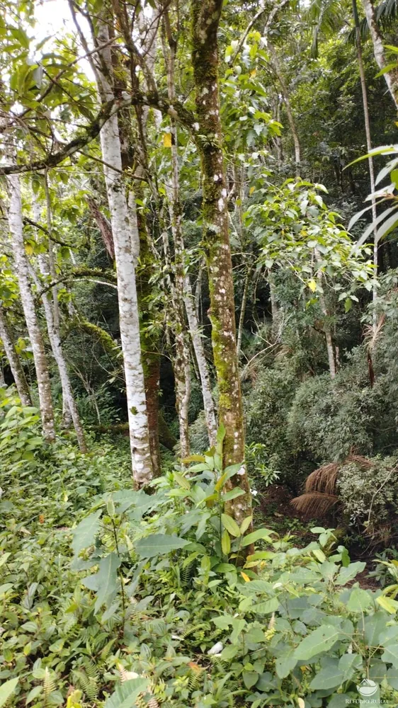Chácara, 1 hectares - Foto 1