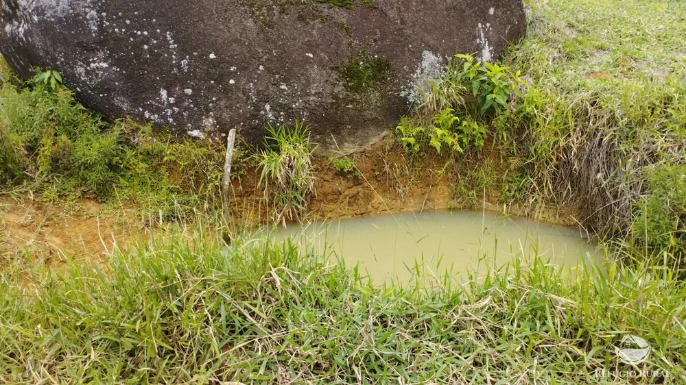 Chácara, 1 hectares - Foto 8