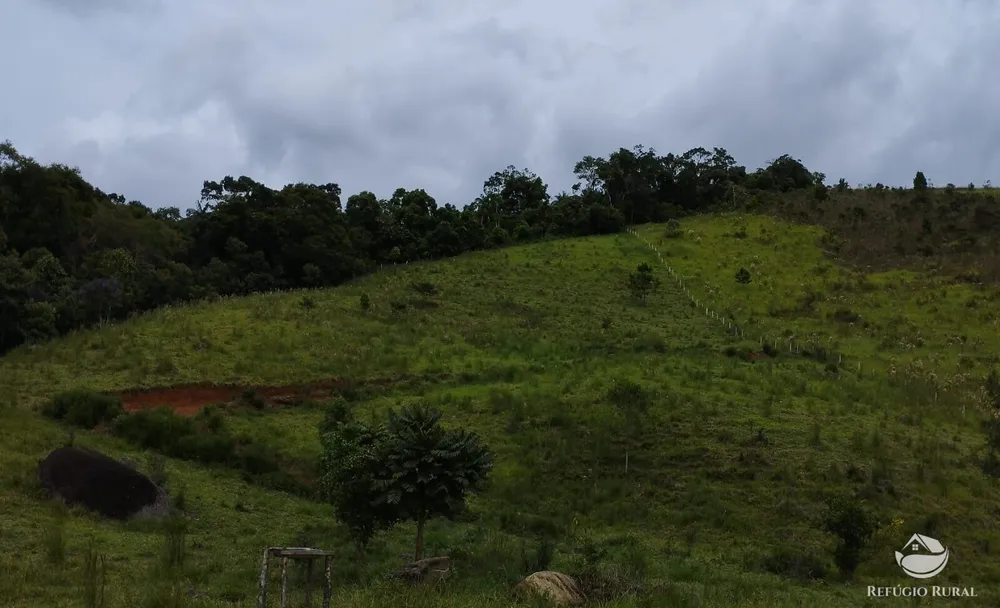 Chácara, 1 hectares - Foto 10