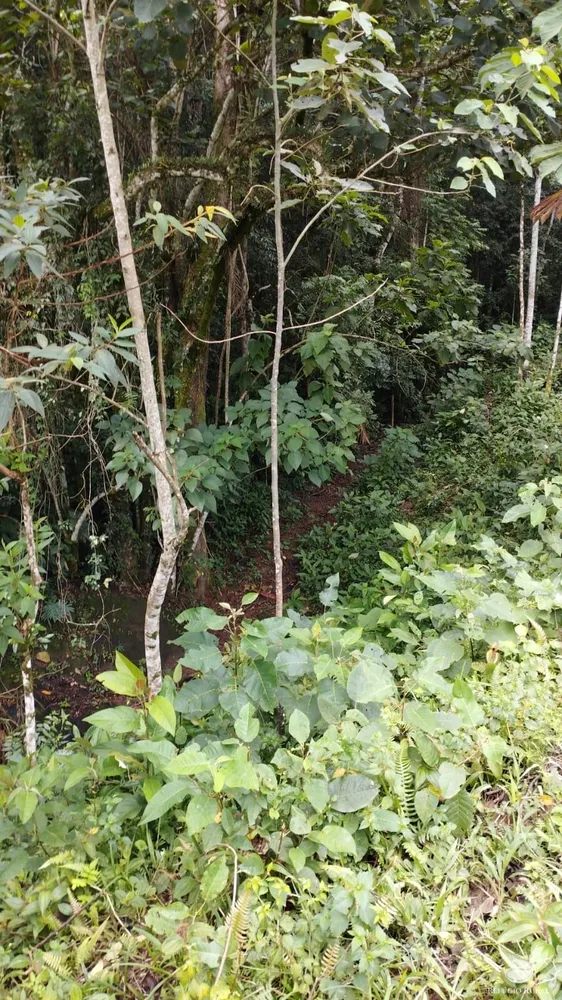 Chácara, 1 hectares - Foto 9