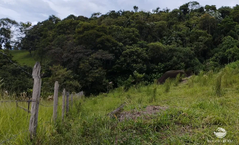 Chácara, 1 hectares - Foto 7