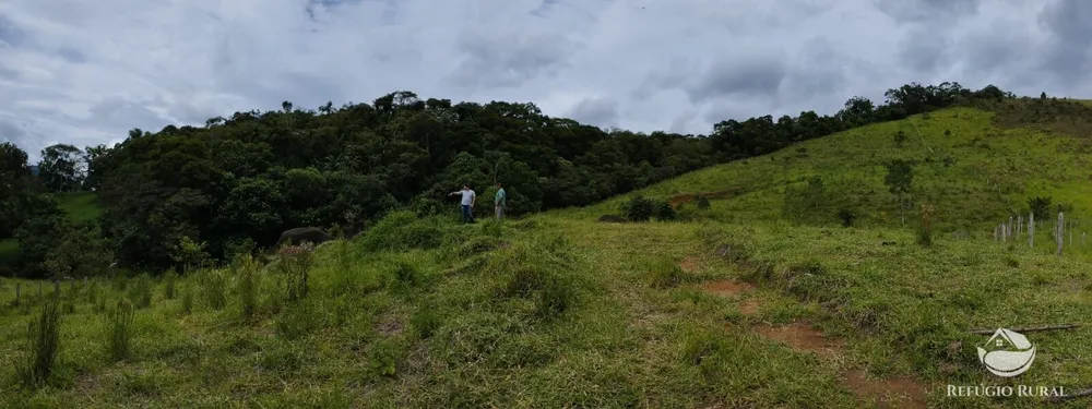 Chácara, 1 hectares - Foto 11