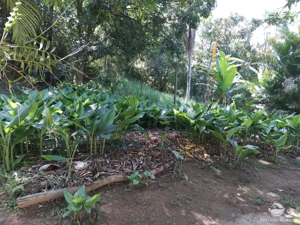 Chácara, 3000 m² - Foto 5
