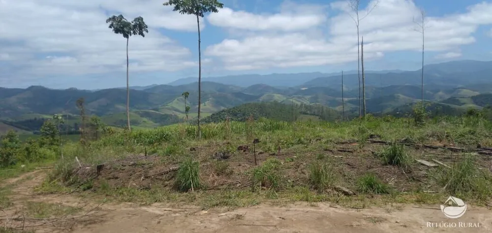 Terreno, 2 hectares - Foto 13