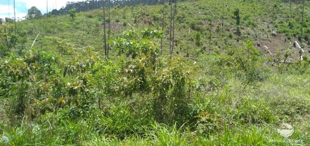 Terreno, 2 hectares - Foto 1