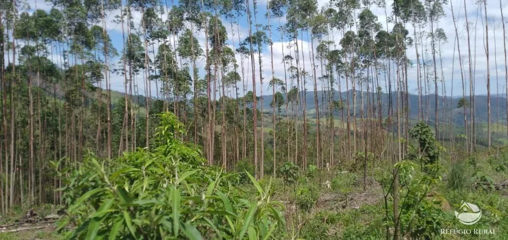 Terreno, 2 hectares - Foto 8