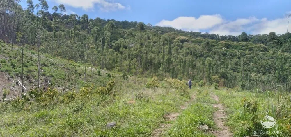 Terreno, 2 hectares - Foto 2