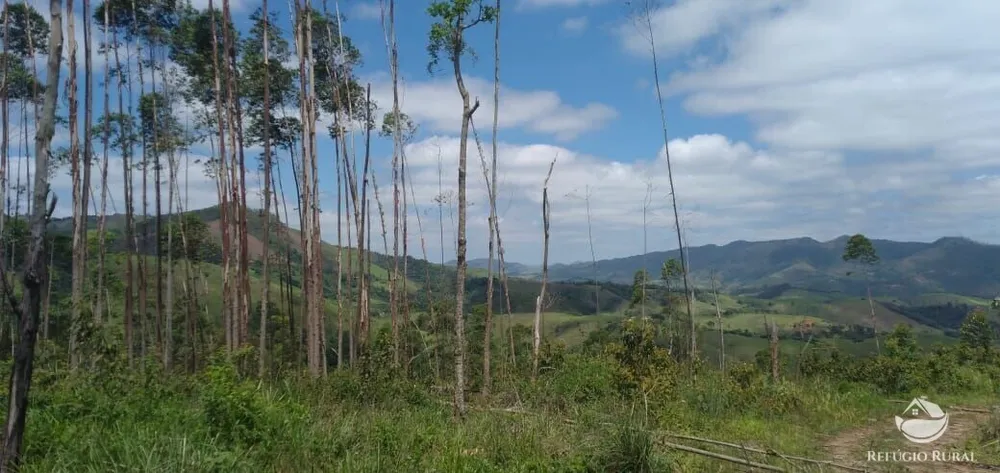 Terreno, 2 hectares - Foto 14