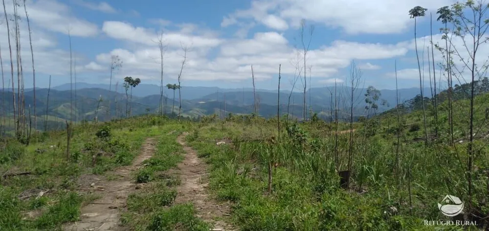 Terreno, 2 hectares - Foto 3