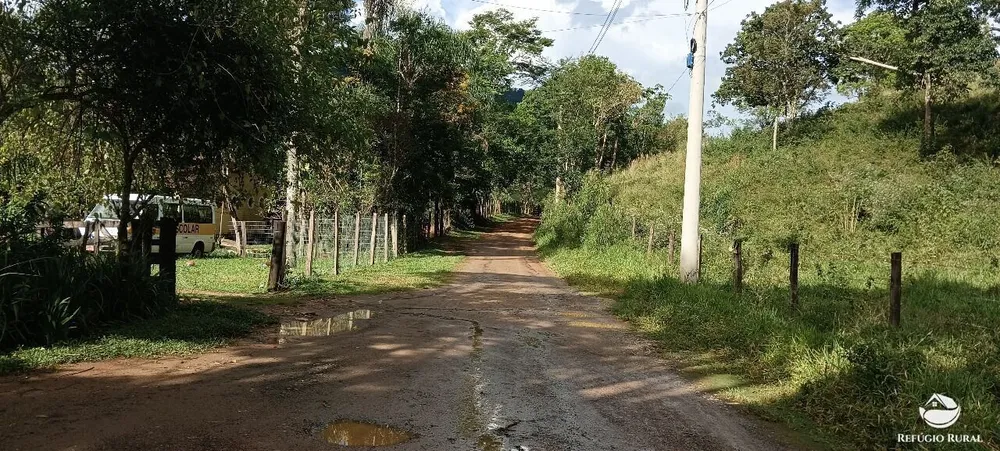 Terreno, 2 hectares - Foto 10