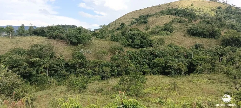 Terreno, 2 hectares - Foto 15