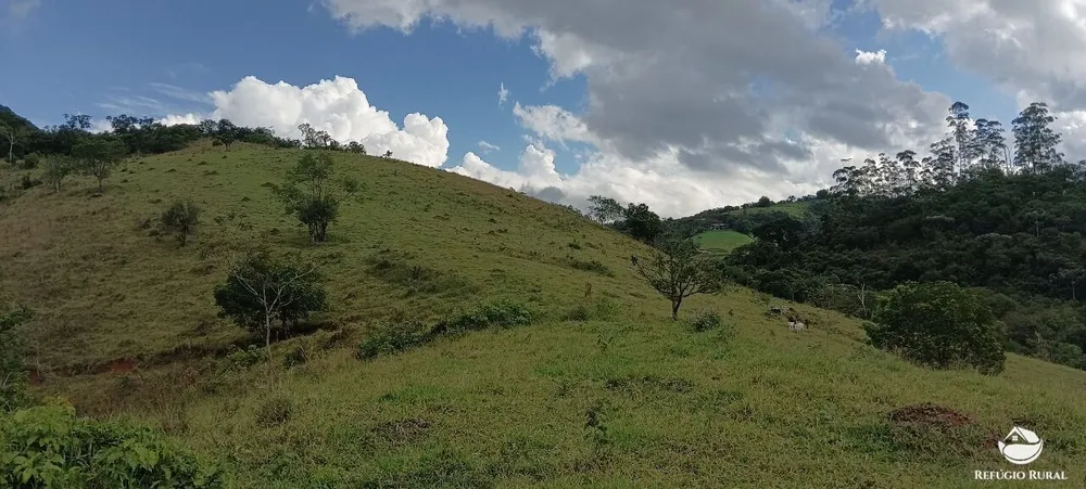 Terreno, 2 hectares - Foto 13