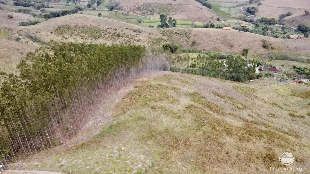 Terreno, 2 hectares - Foto 7