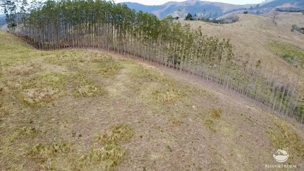 Terreno, 2 hectares - Foto 3