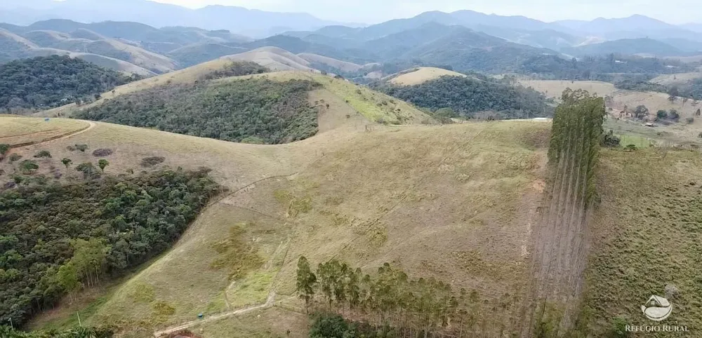 Terreno, 2 hectares - Foto 11
