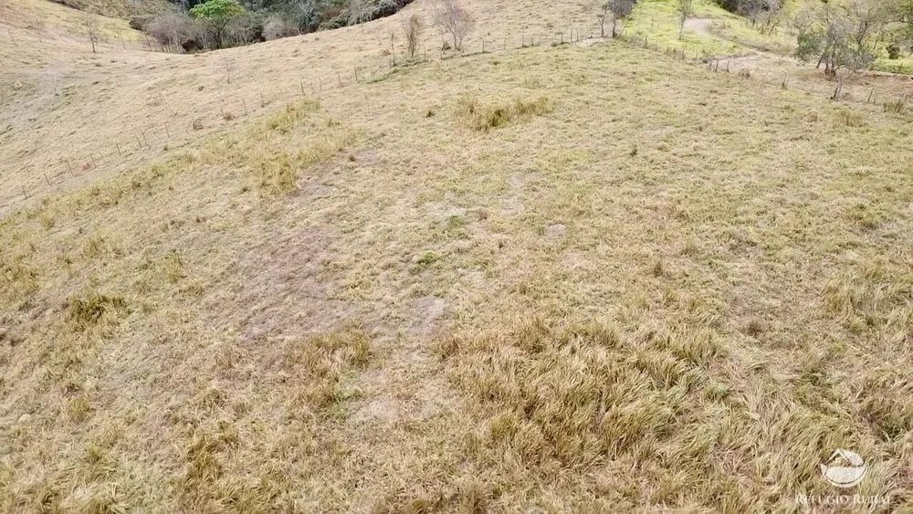 Terreno, 2 hectares - Foto 4