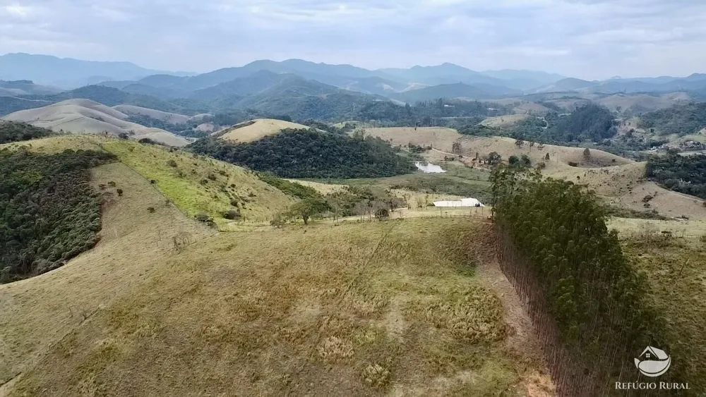 Terreno, 2 hectares - Foto 4