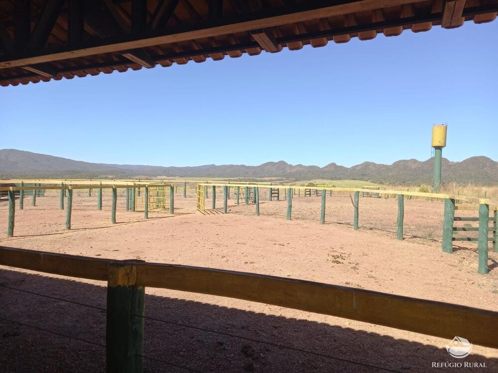 Fazenda à venda com 1 quarto, 18972800m² - Foto 1