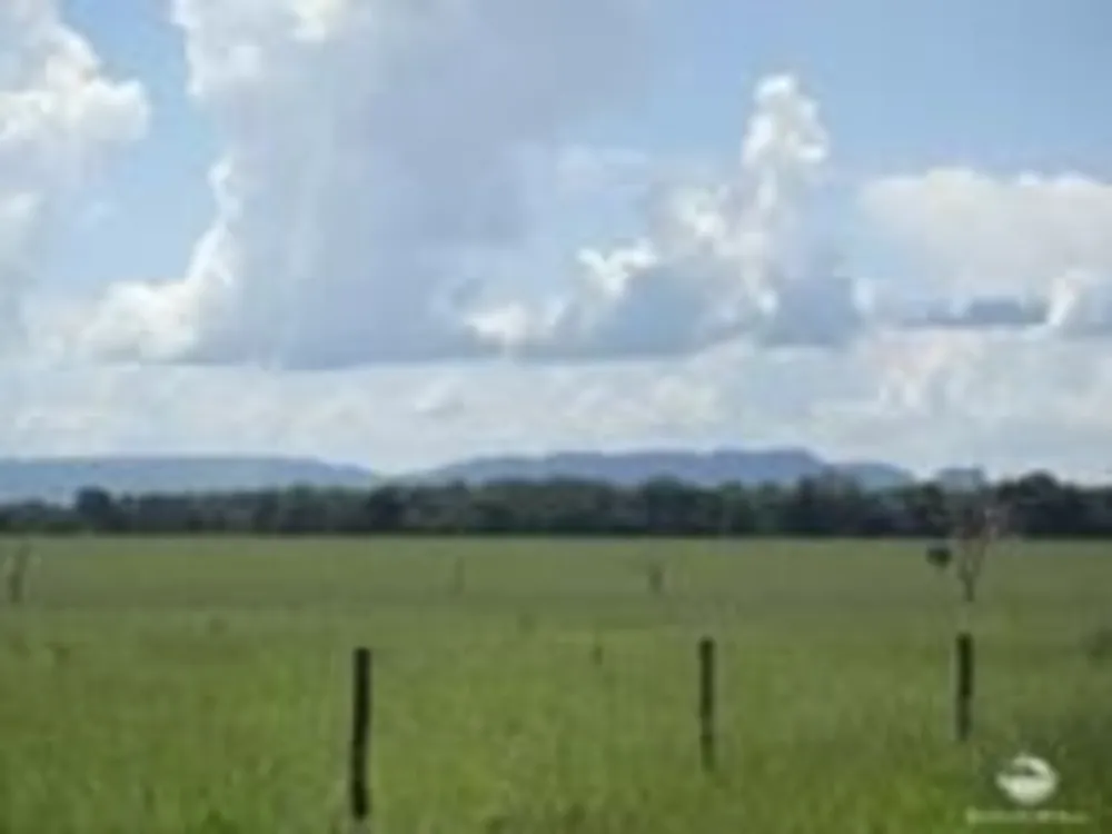Fazenda, 5482 hectares - Foto 8