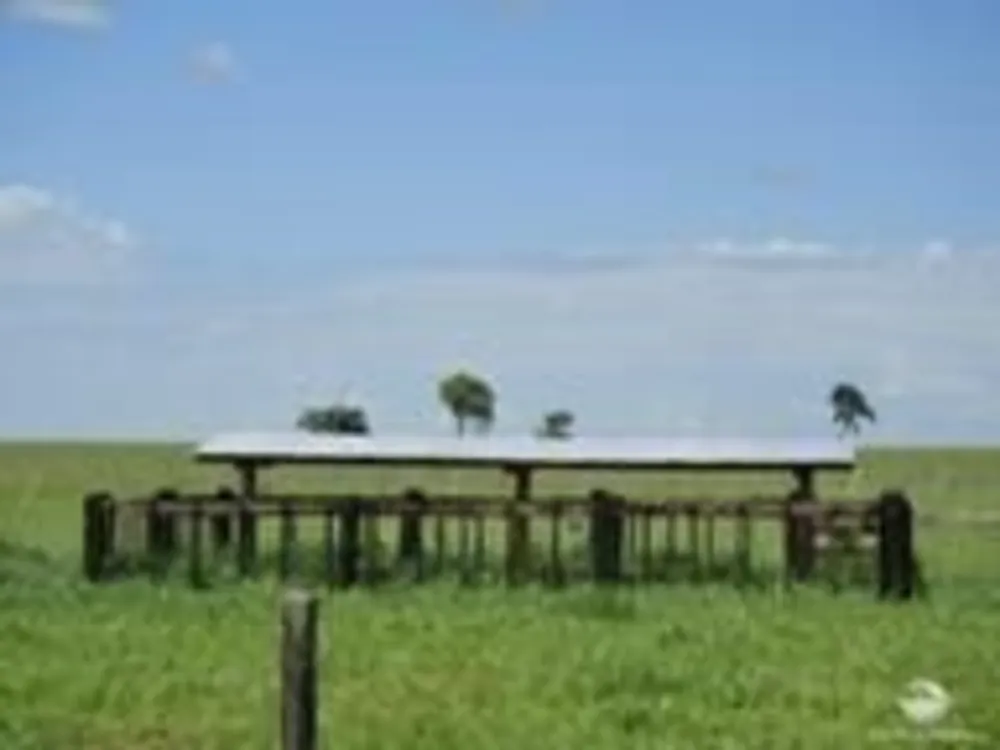 Fazenda, 5482 hectares - Foto 12