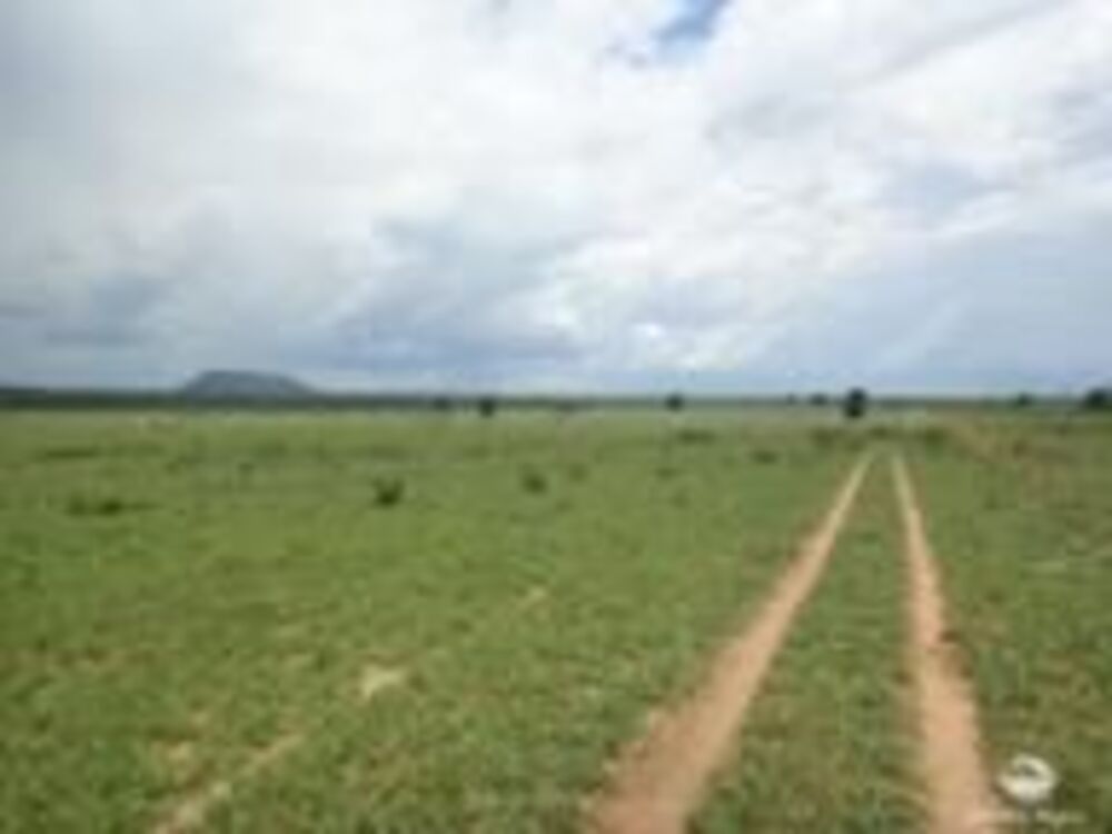 Fazenda à venda com 5 quartos, 54820000m² - Foto 2